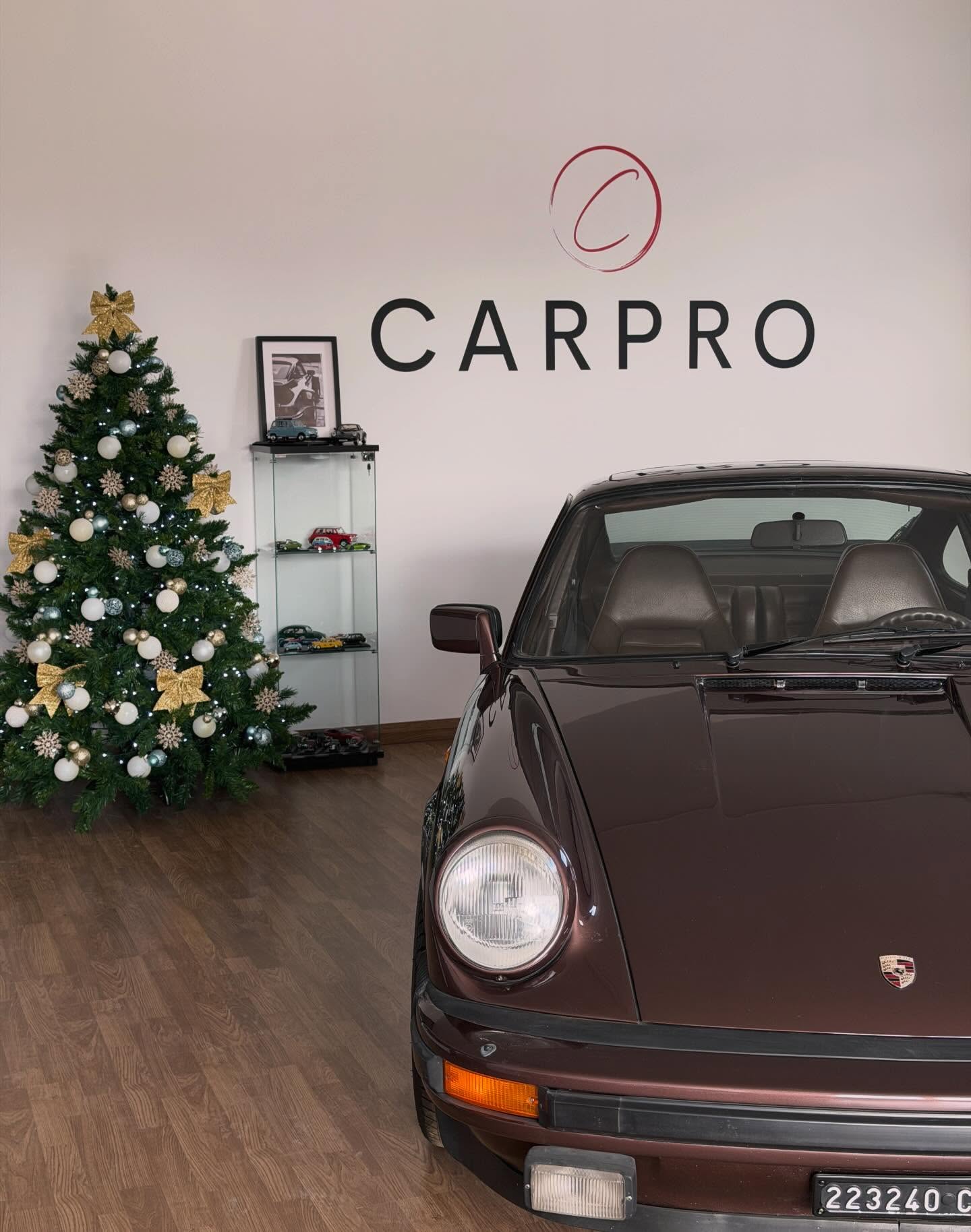 Officina CarPro Dettaglio 2